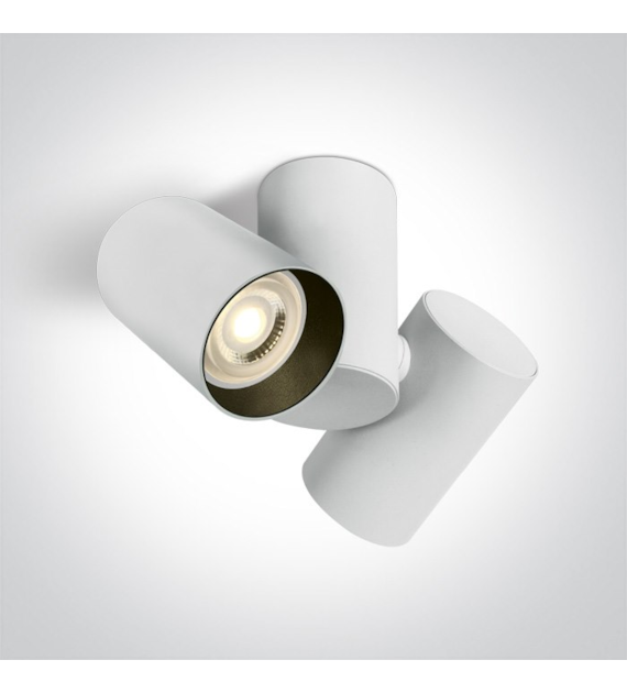 65205E/W Regulowana lampa sufitowa 2x10W MR16 GU10
