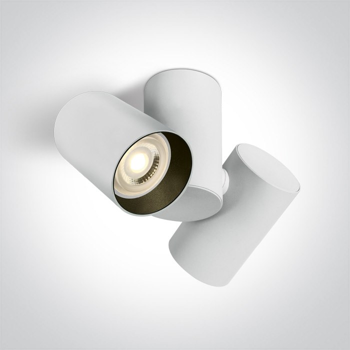 65205E/W Regulowana lampa sufitowa 2x10W MR16 GU10