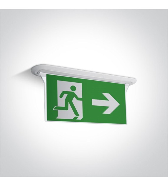 89406R/W oświetlenie awaryjne sufitowe LED 1W; nie