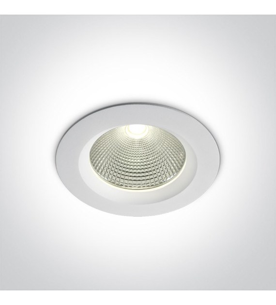 10120CA/W/C Biały downlight 20W 4000K One Light