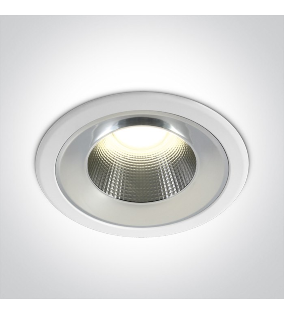 10125TD/W/C biały downlight LED 25W IP54 4000K 230
