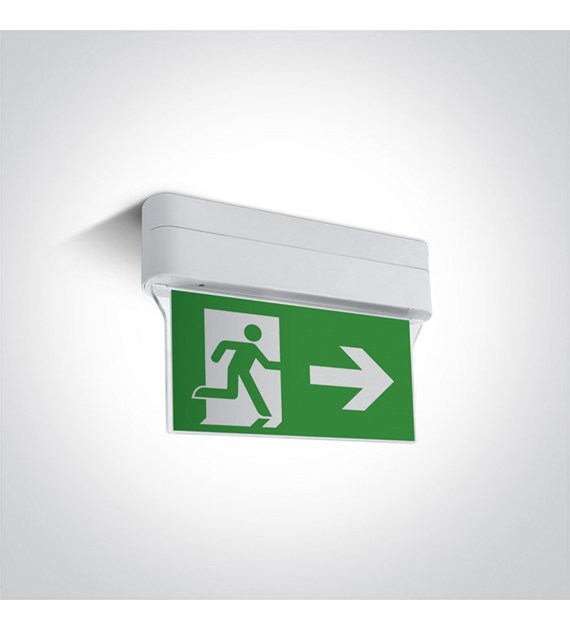 89406/W oświetlenie awaryjne sufitowe LED 1W; nieś