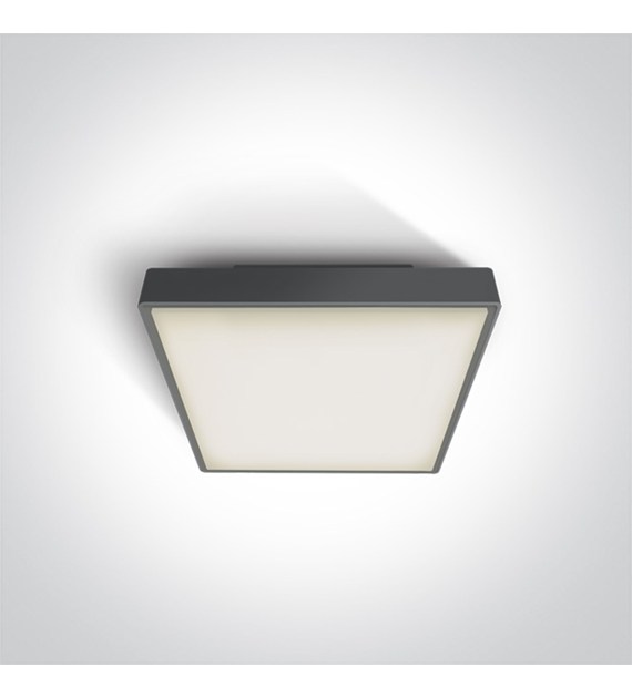 67282N/AN/W Plafon Pirnari antr LED 3000K 16W IP65