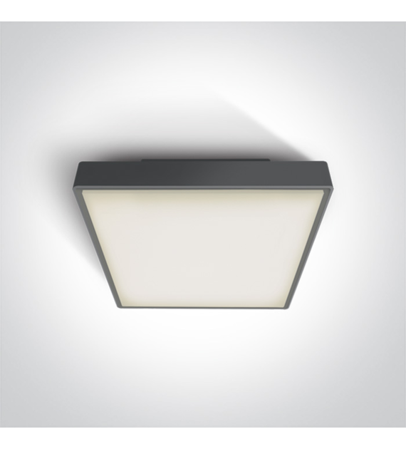 67282AN/AN/W Plafon Pirnari 2 antr LED 3K 24W IP65