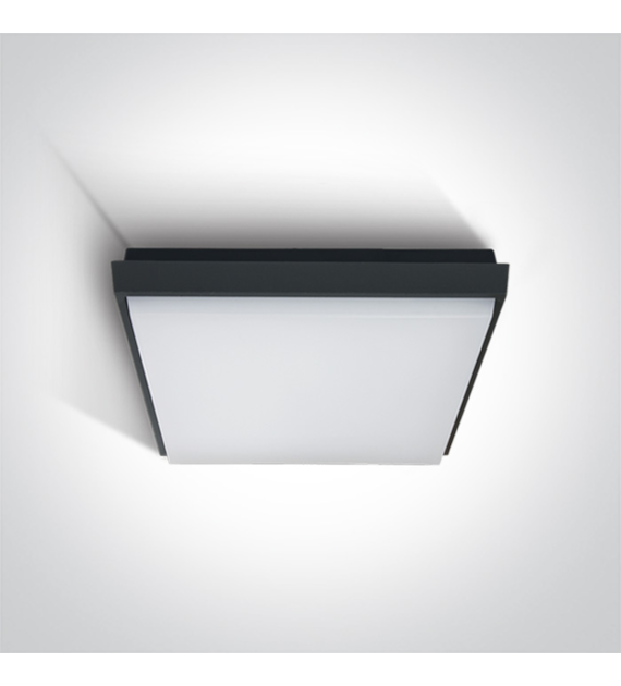 67363A/AN/W Plafon Stamata 2 antracyt WW 30W IP54