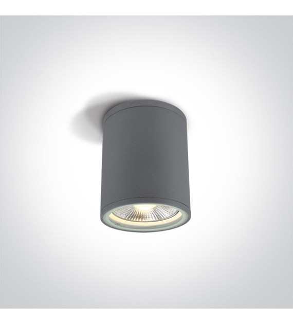 67132C/G szary zewnętrzny cylinder sufitowy 75W PA