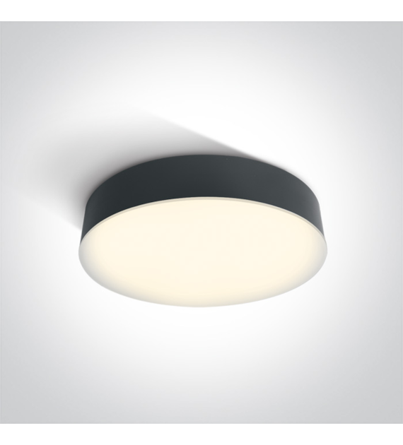 67390/AN/W plafon w kolorze antracyt LED 3000K 21W