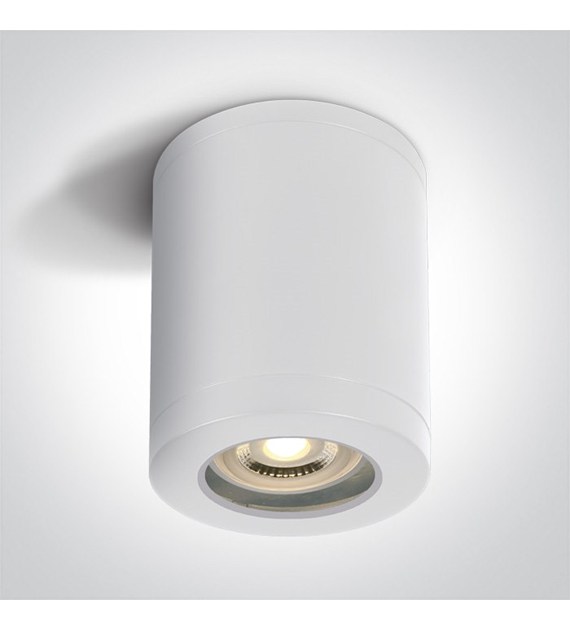 67142B/W Oprawa sufitowa Biała  1xGU10 IP65