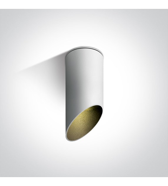 12105E1/W/B biała oprawa sufitowa z czarnym odbłyś