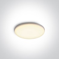 10108CF/W biała bezramowa oprawa typu downlight LE