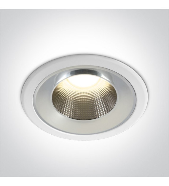 10125TD/W/W biały downlight LED 25W IP54 3000K 230