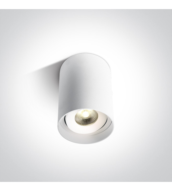 12110D/W/W biały Tuba  LED 3000K 10W