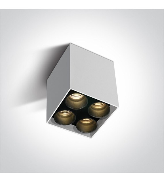 12406C/W/W biała oprawa sufitowa SMD LED 10W 3000K