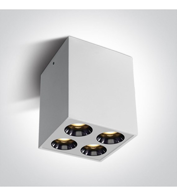 12110HB/W/W biała oprawa sufitowa 10W 3000K dark l