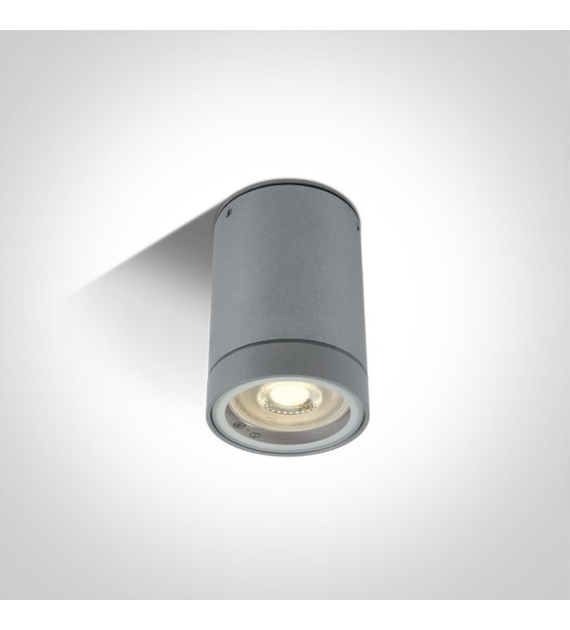 67130C/G Oprawa sufitowa Lido szara GU10 IP54