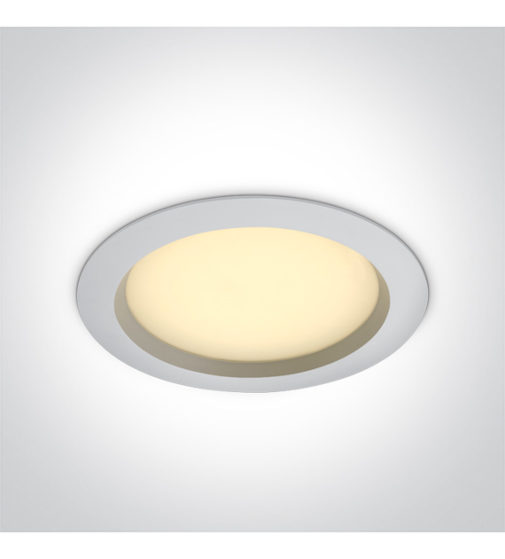 10125B/W/V Downlight  biały LED CCT 25W IP54
