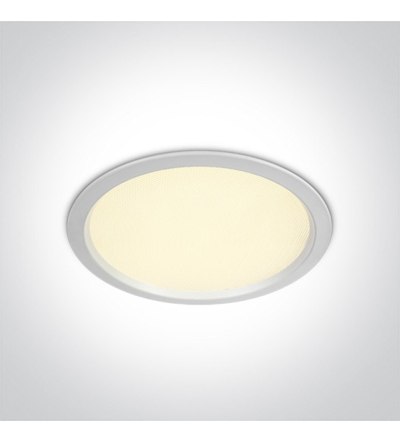 10130U/W/V Downlight biały LED 30W CCTV IP44 230V