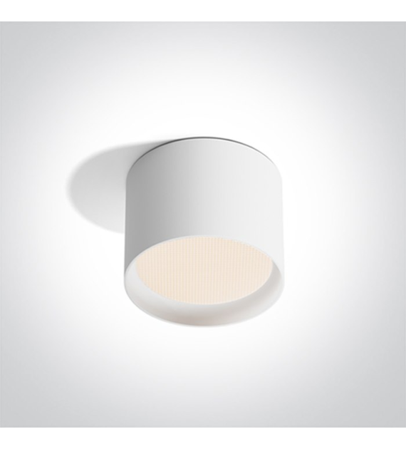 12112D/W/V  Lampa sufitowa biała 12W CCTV IP44