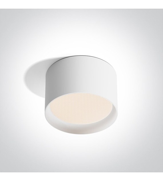 12120D/W/V Lampa Sufitowa biała 20W CCTV IP44