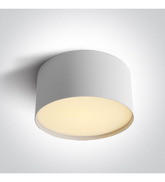 12120M/W/V Lampa sufitowa biała  20W CCTV IP20