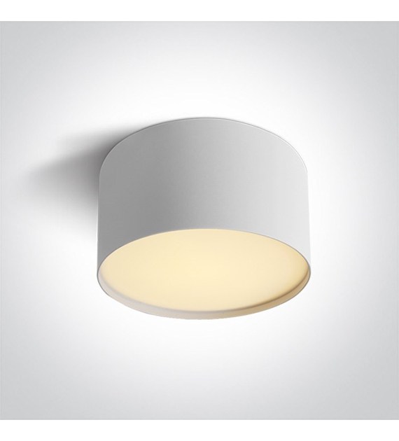 12114M/W/V Lampa sufitowa Biała 14W CCTV IP20