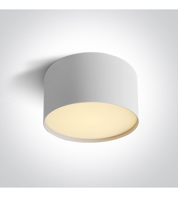 12114M/W/V Lampa sufitowa Biała 14W CCTV IP20