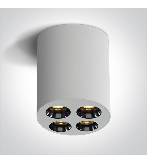 12110H/W/W Oprawa biała 10W 3K IP20 38st. 230V