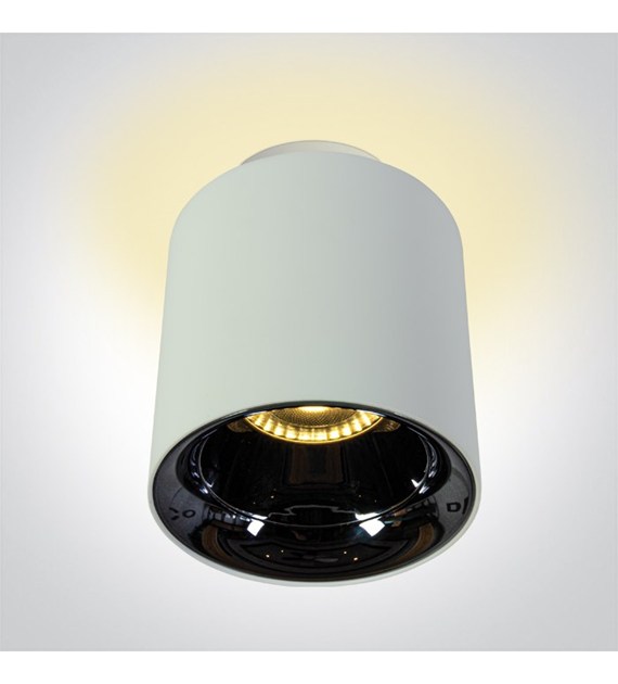 12112A/W/W Sufitowa Biała 10W+2W 3K IP20 230V