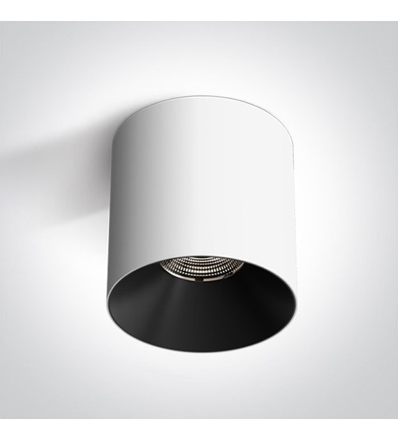 12125R/W/V  Lampa sufitowa biała 25W CCT IP20