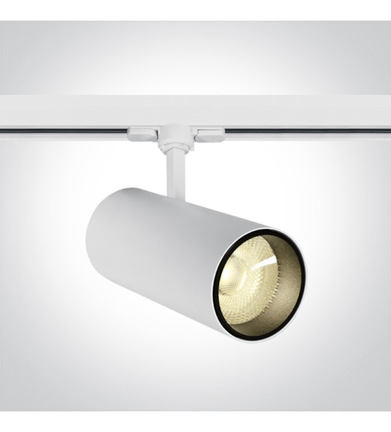 65642CT/W/W Refelktor 3f Skalemtin White 30W/4000K
