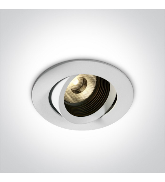 11113D/W/W Wpust Tono biały LED 3000K 13W IP54